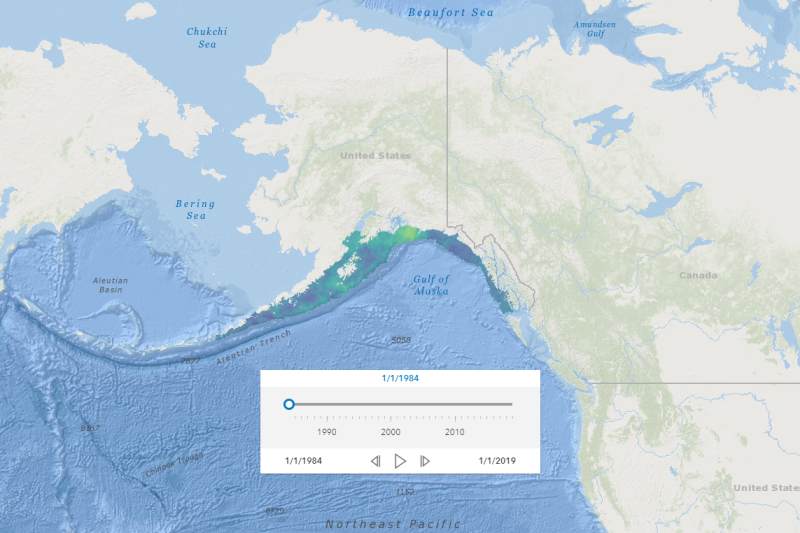 Dive into the issues: Visualizing Climate Change with Melissa Karp